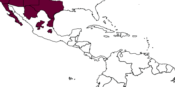 map of Solierella menkei     Bohart, 1990